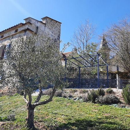 Villa Le Pigeonnier De Felines Caylus Habitación foto