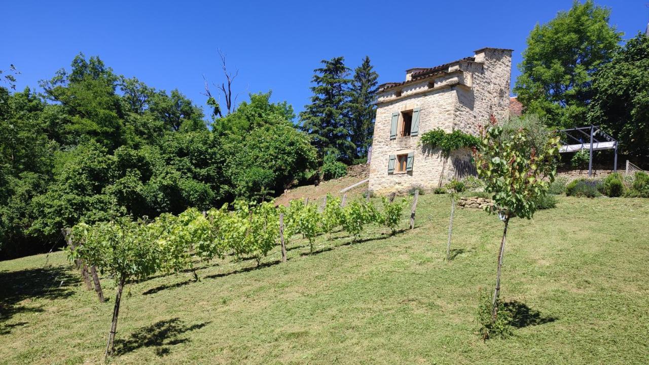 Villa Le Pigeonnier De Felines Caylus Exterior foto
